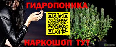 дмт Тула